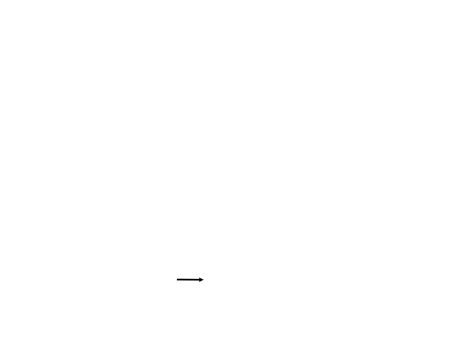 Citimarine Motorsports Sebring Race Map