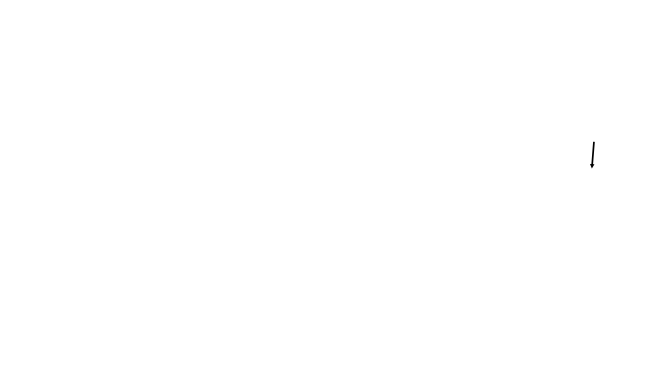 Citimarine Motorsports Road Atlanta Track Map